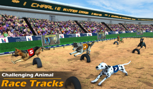 Real Dog Racing Games: Racing Dog Simulator screenshot 6