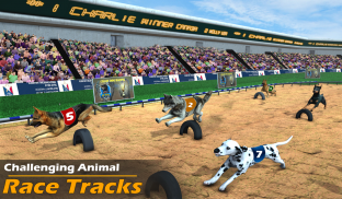 Dog Racing - Play Online on SilverGames 🕹️