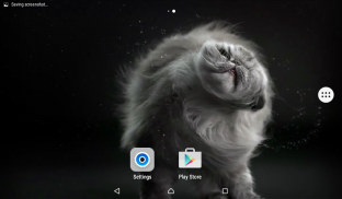 Cats Shake Live Wallpaper screenshot 5