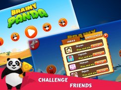 Brainy Panda screenshot 12