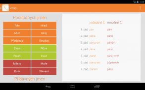 Learn Czech Grammar screenshot 12