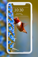 Bird Wallpaper screenshot 6