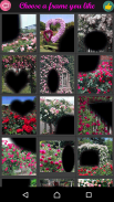 Rose Flower Frame screenshot 5