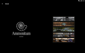 Ammonitum screenshot 8