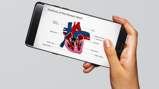 Human Anatomy Encyclopedia - Organs & Skeleton screenshot 1