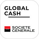 Global Cash Mobile Icon