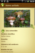 Setas Bolets - MushTool screenshot 3