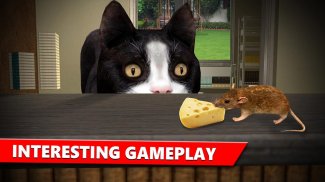 Cat Vs Mouse Simulator 3D screenshot 1