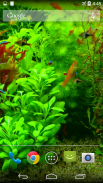 Real Aquarium 3D Wallpaper screenshot 4