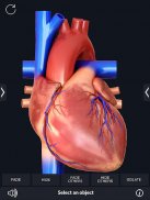 Heart Anatomy Pro. screenshot 9