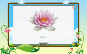 Flower names for Preschool Kids learning App screenshot 1