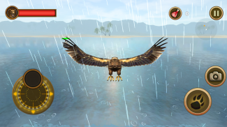 Sea Eagle Survival Simulator screenshot 1