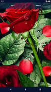 3D Red Rose Live Wallpaper screenshot 7