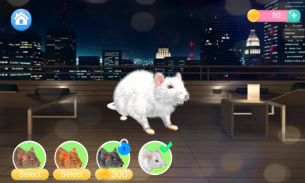 Talking Rat screenshot 2