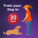 Dog Training & Tricks