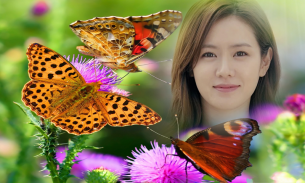 Butterfly Photo Frame screenshot 0