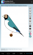 SBguide to Gouldianfinches screenshot 6