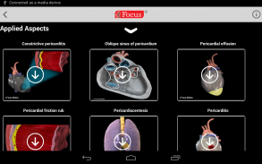 HEART - Digital Anatomy Atlas screenshot 10