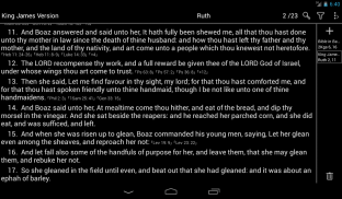 Bible - Offline translations screenshot 22