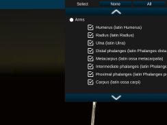 Osseous System in 3D (Anatomy) screenshot 18