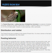 Types Of Snakes - Snake Species - ENGLISH screenshot 5