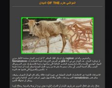 cow disease and how to treat it screenshot 5