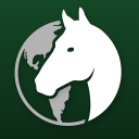 Global Stallions Icon