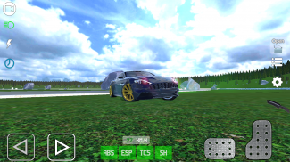 Free Car Driving Simulator screenshot 13