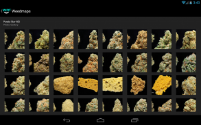 Weedmaps Find Marijuana Cannabis Weed Reviews CBD screenshot 5
