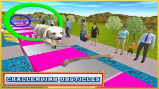 Real Dog Stunt & Jump Derby 3D screenshot 13