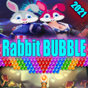 Rabbit Bubble