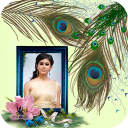 Peacock Feather Photo Frame Icon