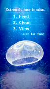 Jellyfish Pet screenshot 1