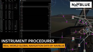 Infinite Flight - Simulatore di volo screenshot 1