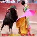 Toro, Torero y San Fermin