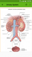 Human Anatomy and Physiology screenshot 1