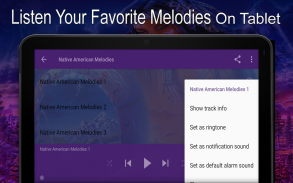 Native American Melodies screenshot 0