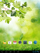 Spring Live Wallpaper Lite screenshot 5