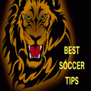 BEST SOCCER TIPS Icon