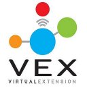 VEX Virtual Extension