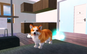 Corgi Dog Simulator screenshot 19