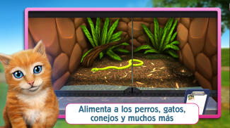 Pet World - Refugio animal screenshot 1