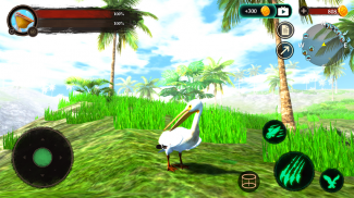 The Pelican screenshot 19