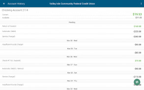 Valley Isle Community FCU screenshot 8