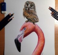 Colored pencil drawing screenshot 0