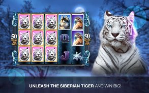 Slots Super Tiger Casino Slots screenshot 7