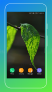 Leaf Wallpaper HD screenshot 8