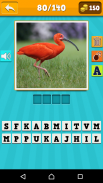 Animals Quiz guess and learn screenshot 11