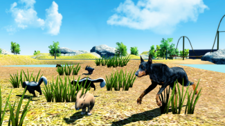 Doberman Dog Simulator screenshot 14