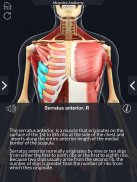 Muscle Anatomy Pro. screenshot 4